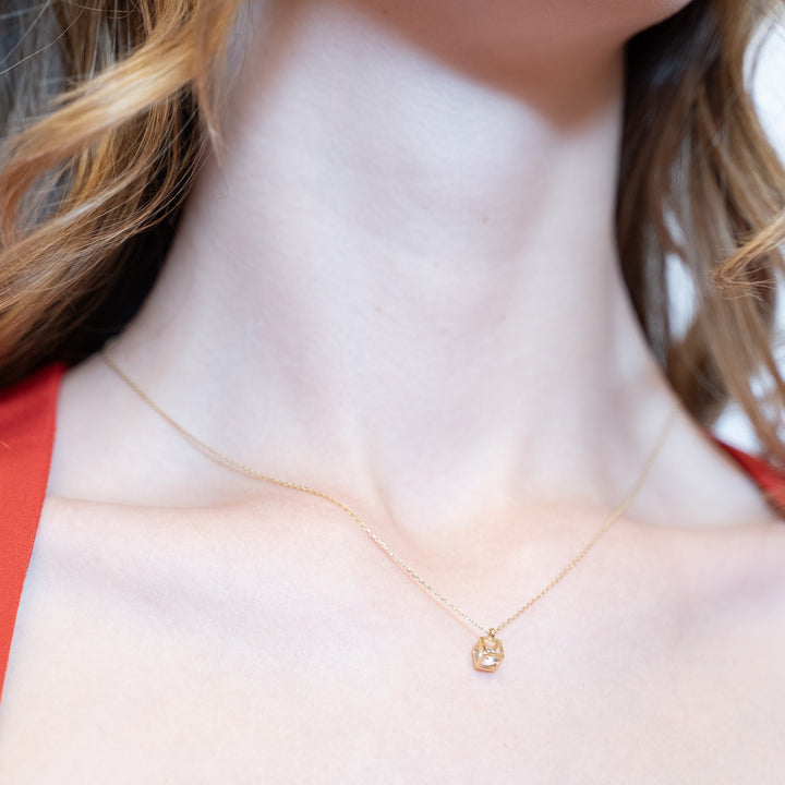 14 Ayar Altın Tek Taşlı Kolye